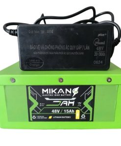 Pin lithium xe đạp điện 48V 15Ah